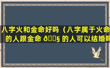 八字火和金命好吗（八字属于火命的人跟金命 🐧 的人可以结婚吗）